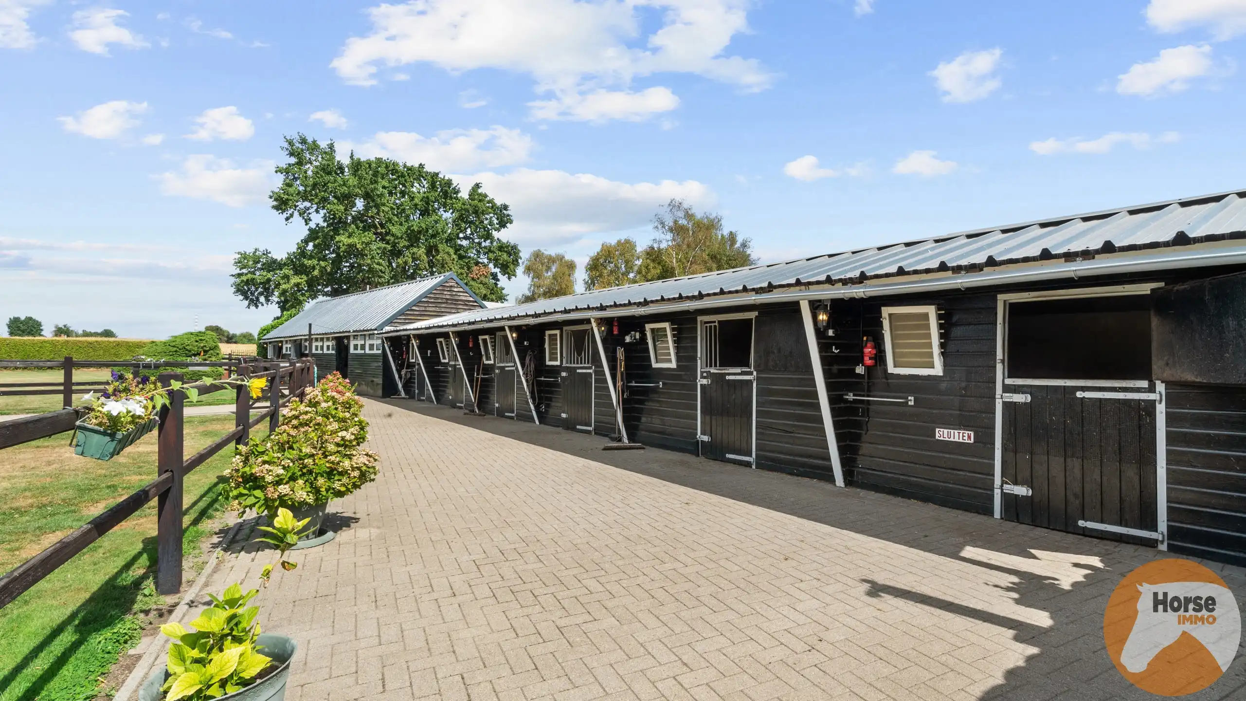 NEEROETEREN-Woning met accommodatie voor (semi)professioneel foto 7