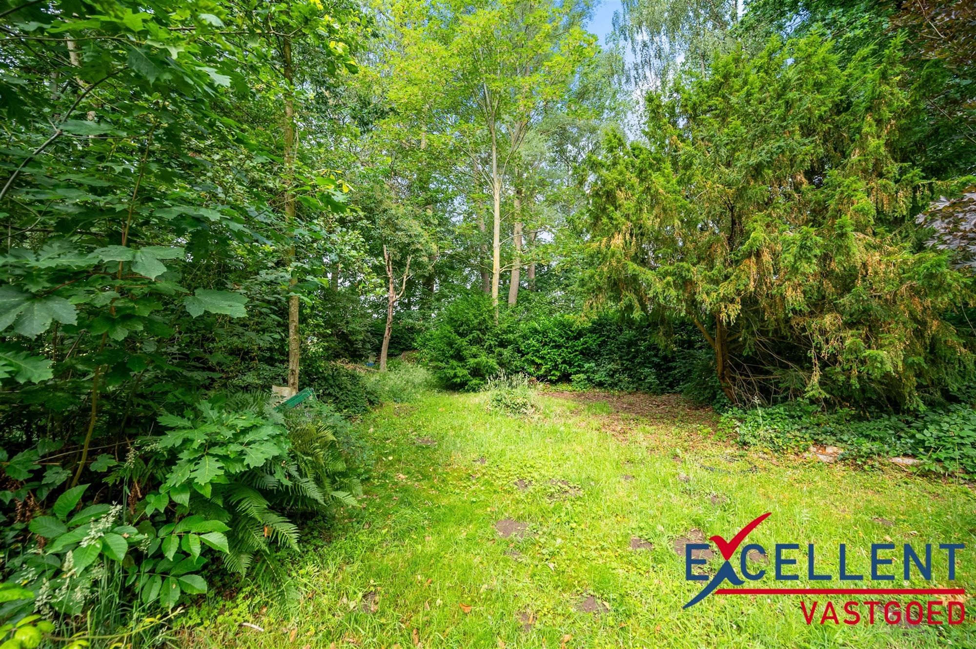 Unieke kans voor natuurliefhebbers foto 8