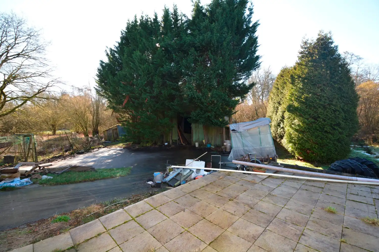 TE RENOVEREN LANDHUIS OP 14.000 m²! foto 6