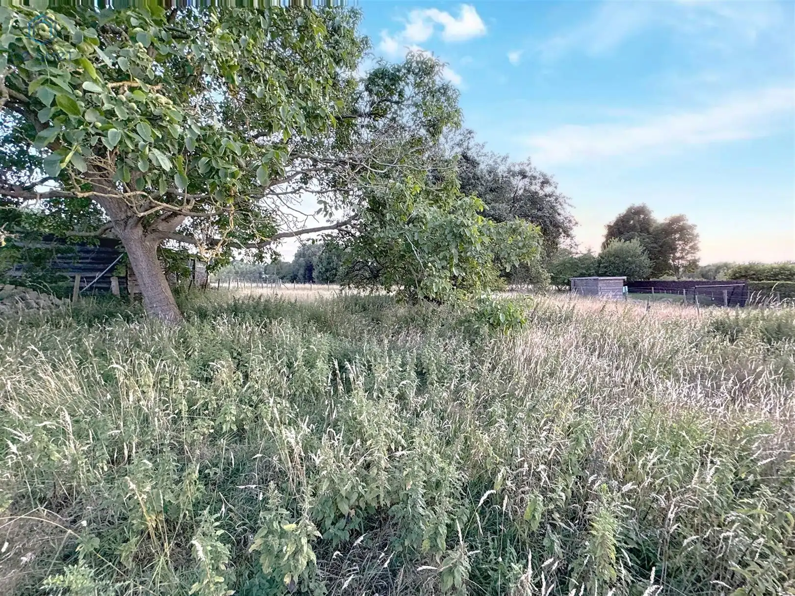 Bouwgrond voor halfopen bebouwingen op ruim perceel te Geraardsbergen  foto 4