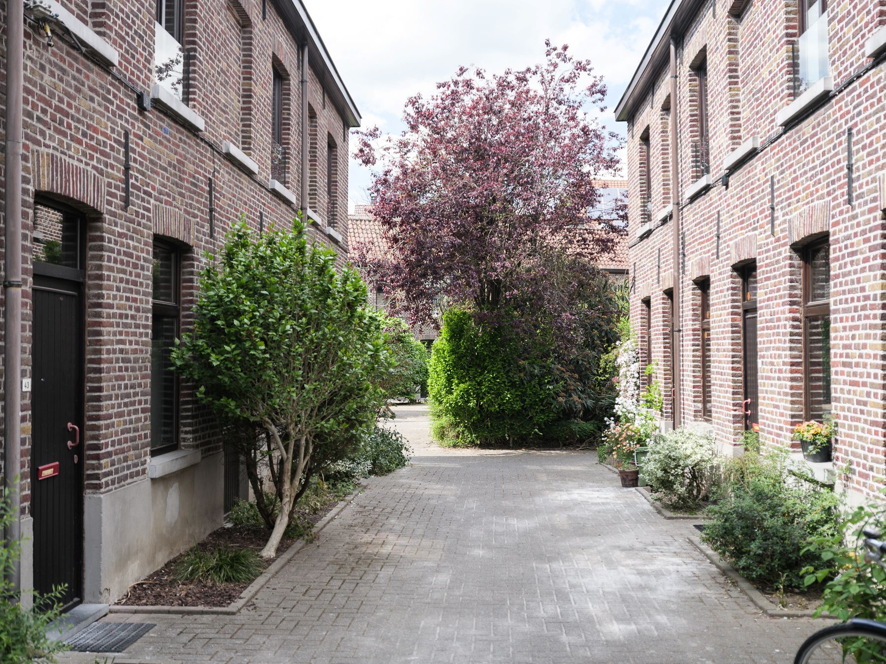Wonen in het groen, midden in Gent – ontdek deze oase van rust foto 16