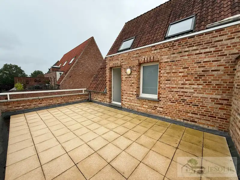 2 kamer - triplex met groot terras foto 12
