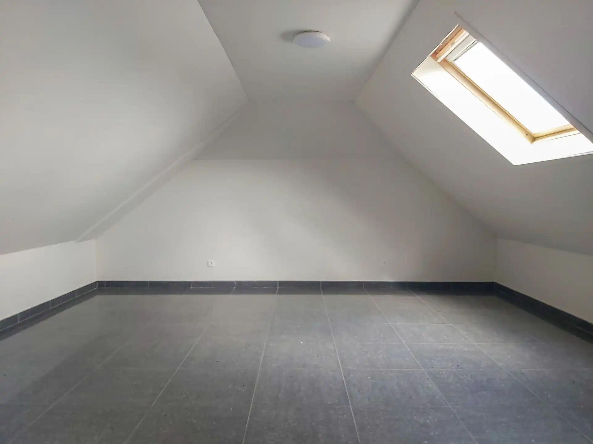 Ruime triplex met studio te koop in Opgrimbie! foto 21