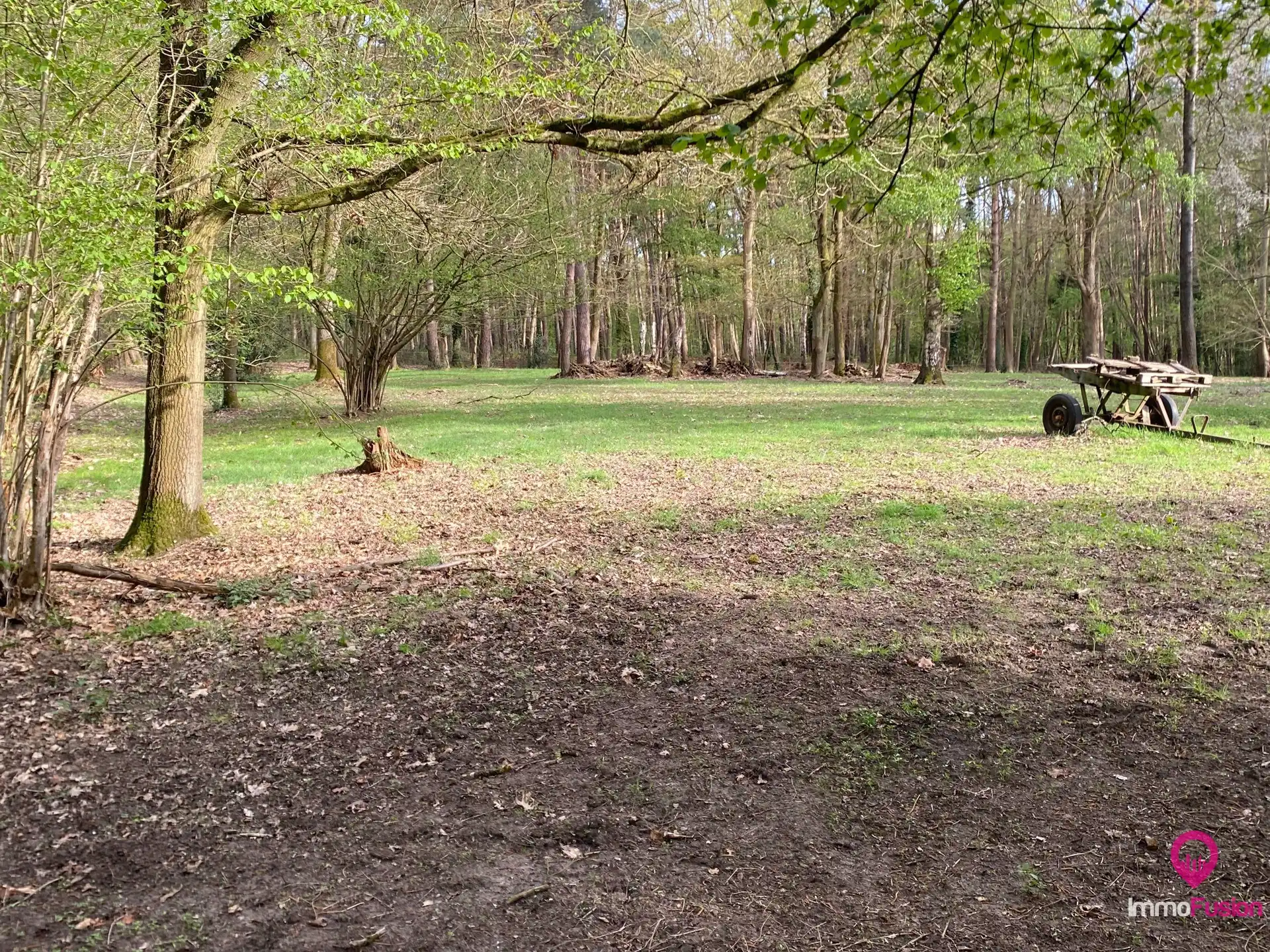 Landelijke weide voor dieren- en natuurliefhebbers! foto 9