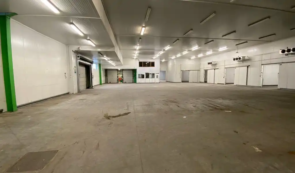 Bedrijfspand te huur aan Groothandelsmarkt Antwerpen foto 6