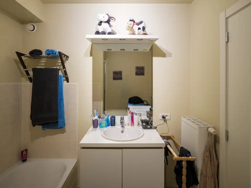 Gentbrugge - Licht op te frissen gelijkvloers appartement met 2 slaapkamers en tuin foto 12