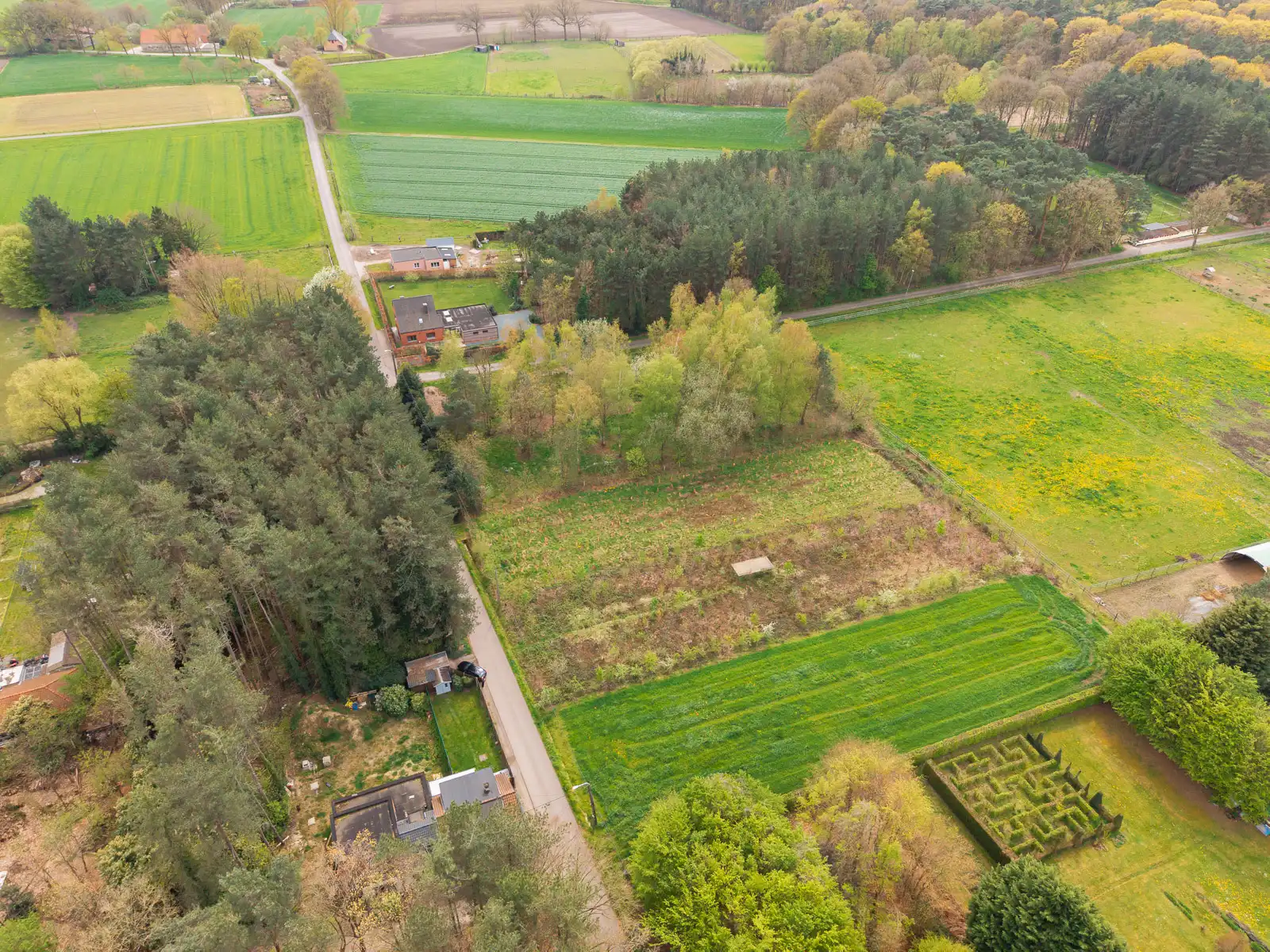 Prachtige landbouwgrond van 3826 m² gelegen in oase van rust foto 4