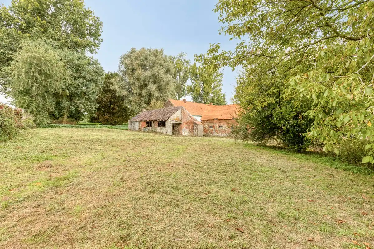 Te renoveren hoeve met schuren op ca. 1,3ha! foto 17
