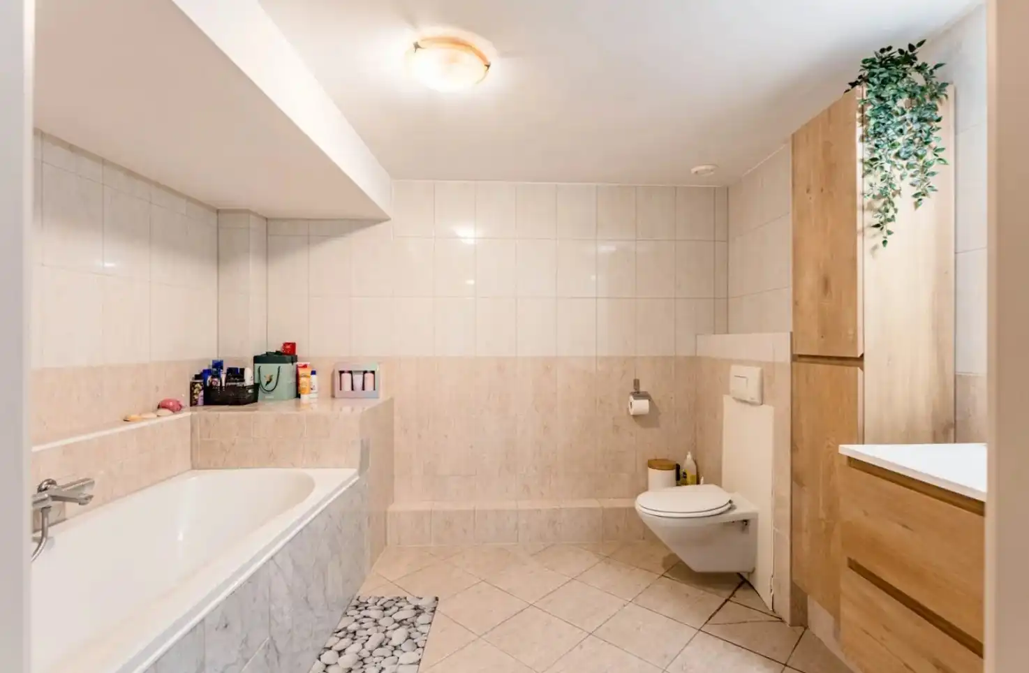 Unieke investeringsopportuniteit in het hart van Maaseik Handelspand + 2 verhuurde appartementen | Centrale ligging | Interessant verhuurpotentieel foto 21