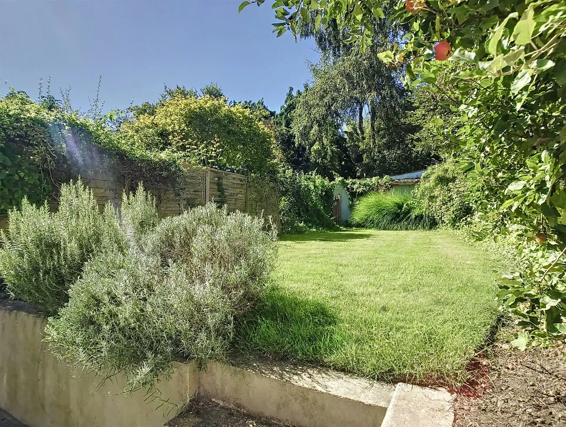 Karaktervol herenhuis met 5 slaapkamers en leuke tuin foto 5