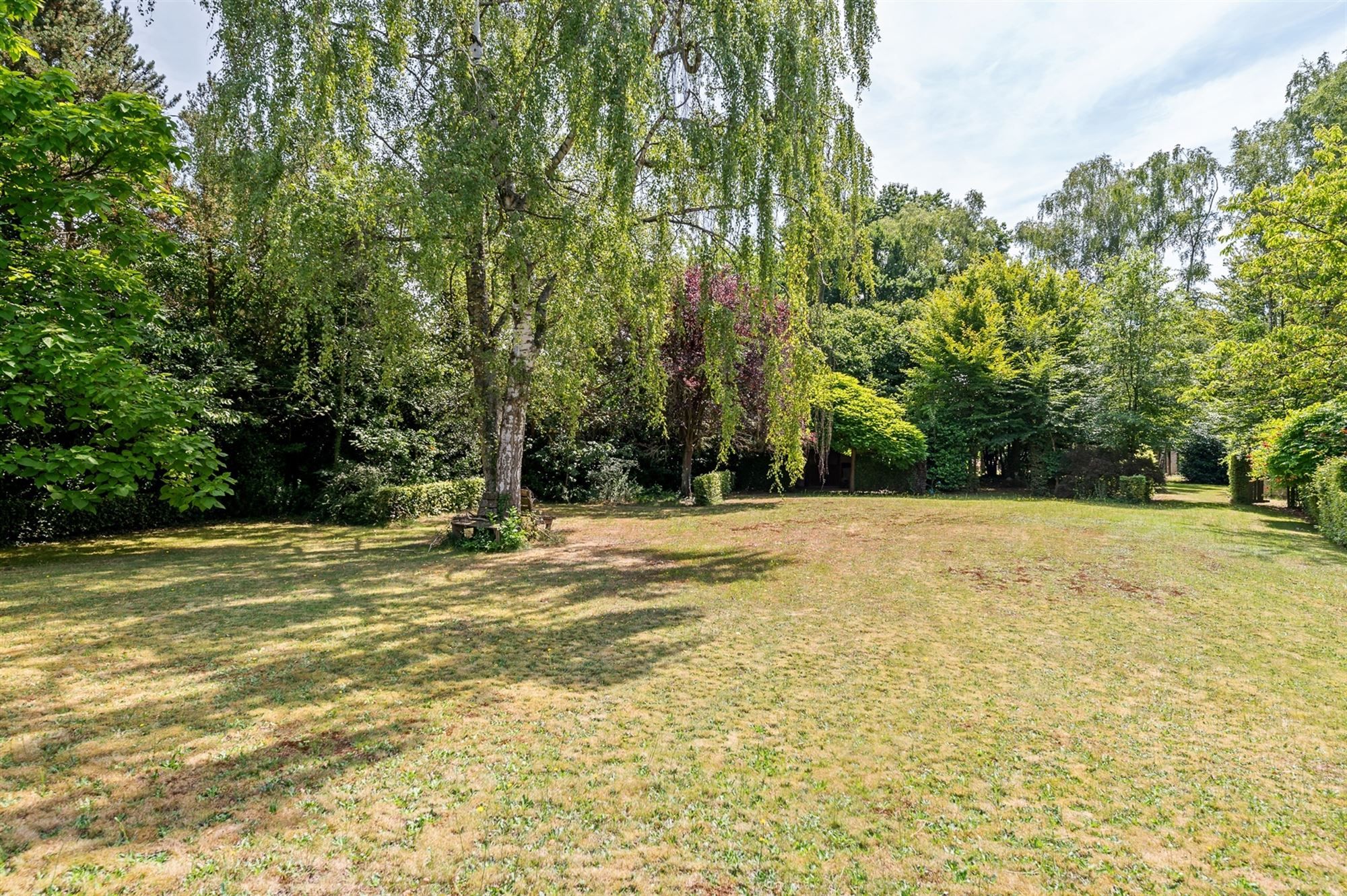 ZEER RUIME EN KARAKTERVOLLE WONING GELEGEN OP EEN BREED, UITGESTREKT EN ZUIDELIJK GEORIËNTEERD PERCEEL VAN 36A20CA TE BALEN (HULSEN) foto 33