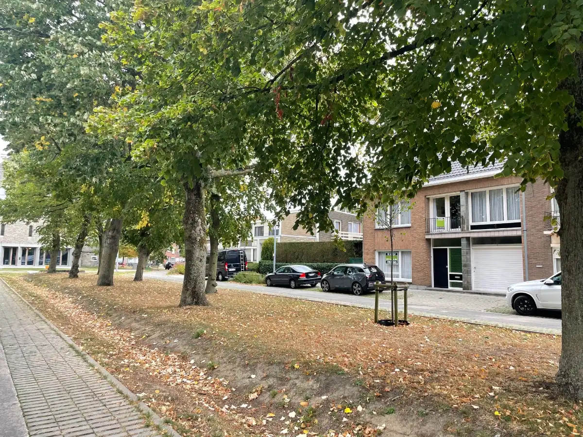 4-slpk EENGEZINSWONING + tuin foto 4