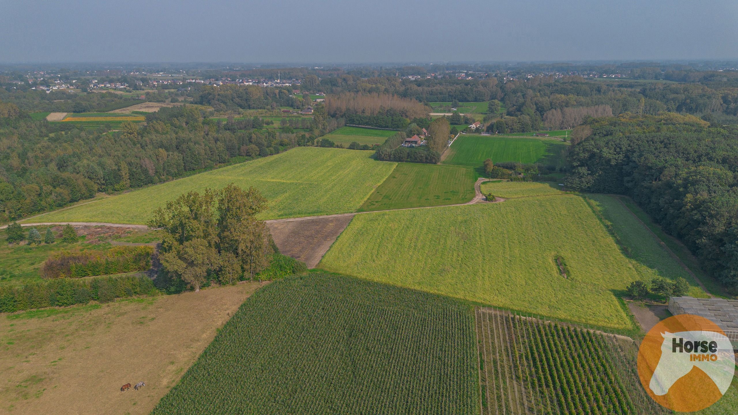 WETTEREN - Landbouwgrond +/-5 HA 53  foto 10