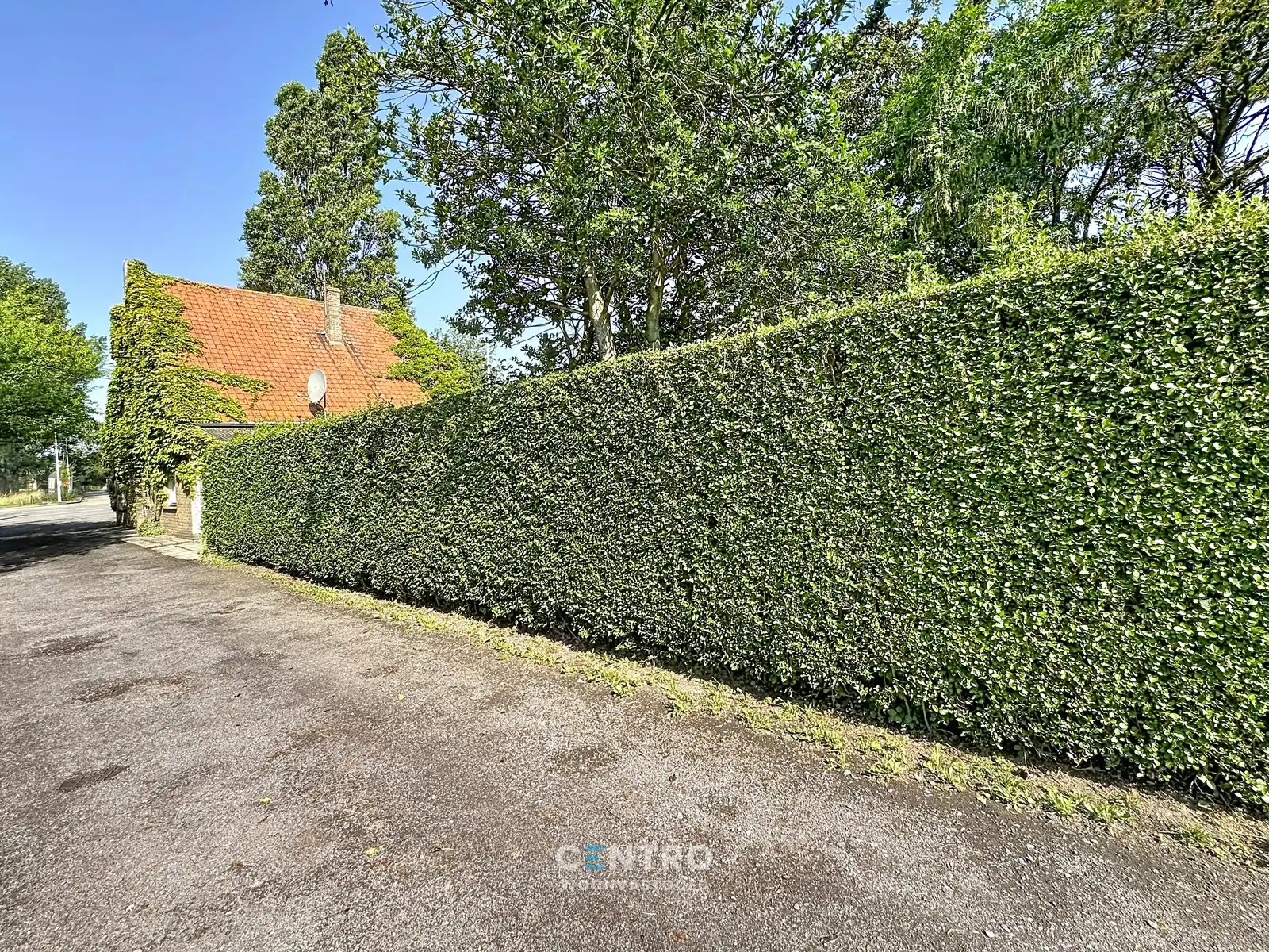 Woning met opslagruimte (313m2) op 3.196m2 grond te Lissewege! foto 36