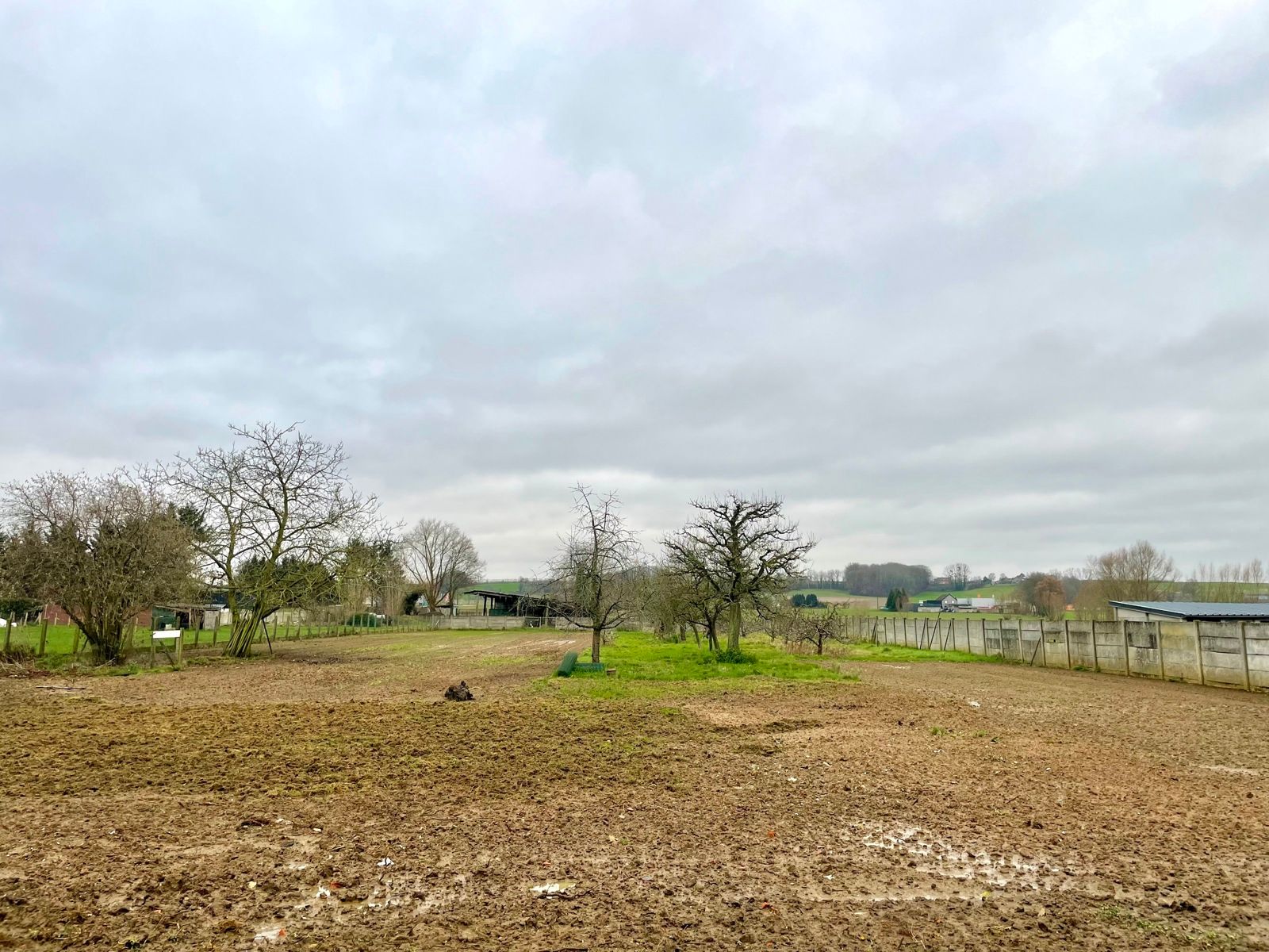 Genieten van rust en ruimte te Tielt-Winge foto 17