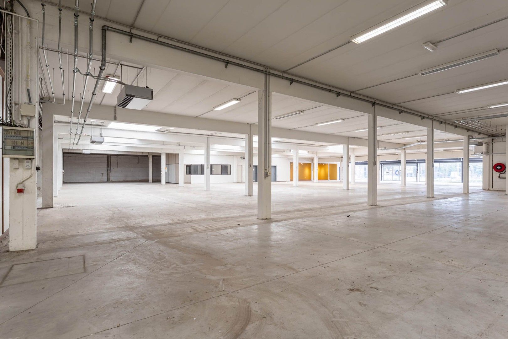 Bedrijfsgebouw (showroom/magazijn) met appartement gelegen op een perceel van 33a 50ca! foto 6