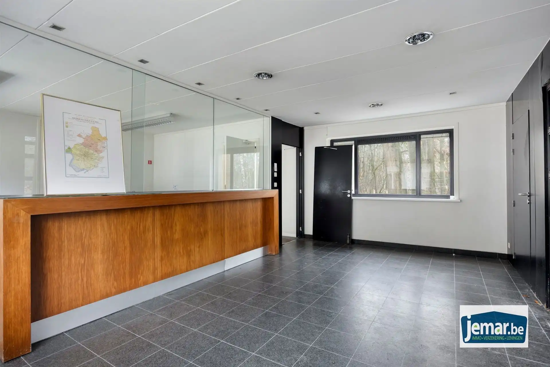 Villa met professionele opslagruimte, kelder en kantoorruimtes. foto 73