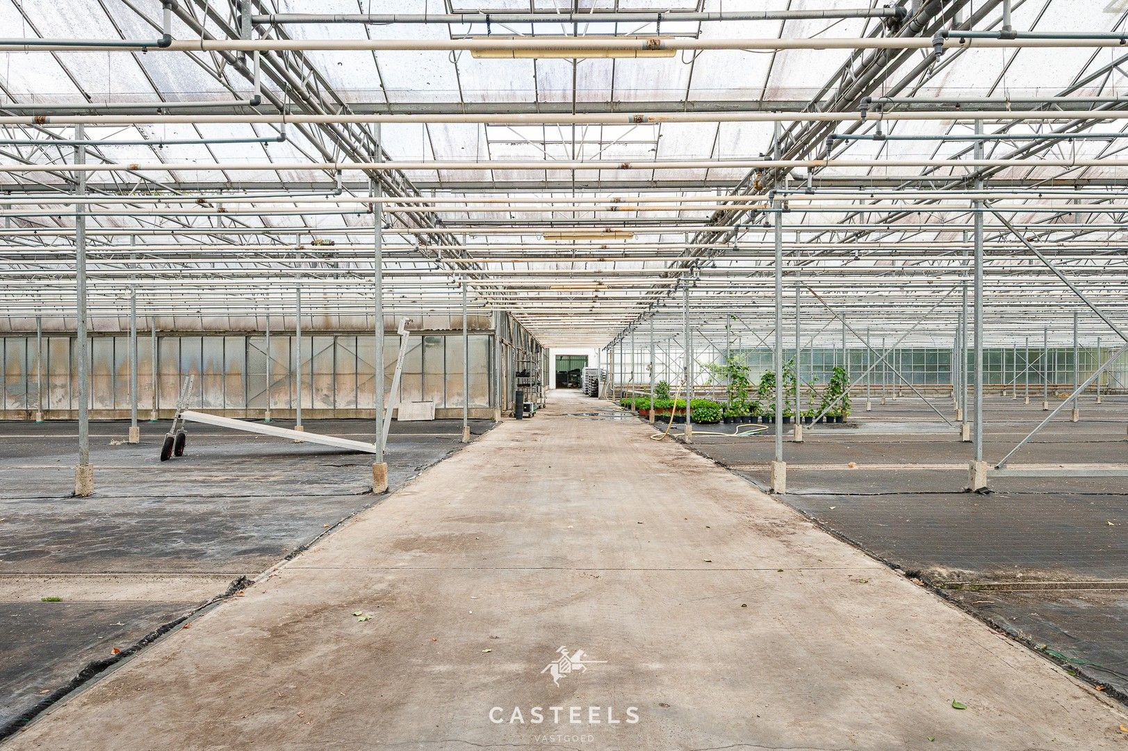 Uitzonderlijke tuinbouwsite in hartje Lochristi foto 6