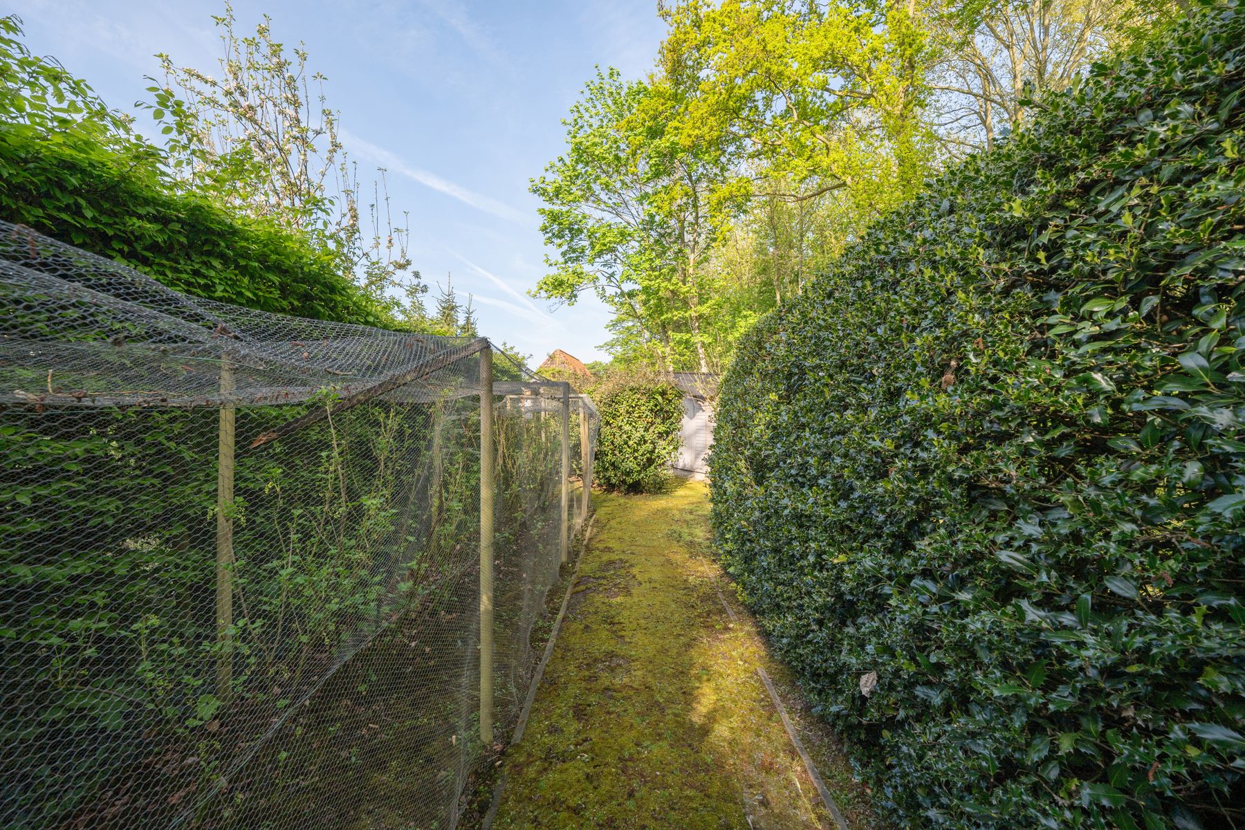 Berkenhof: villa met tuin op 1240 m² in centrum Oostkamp foto 34