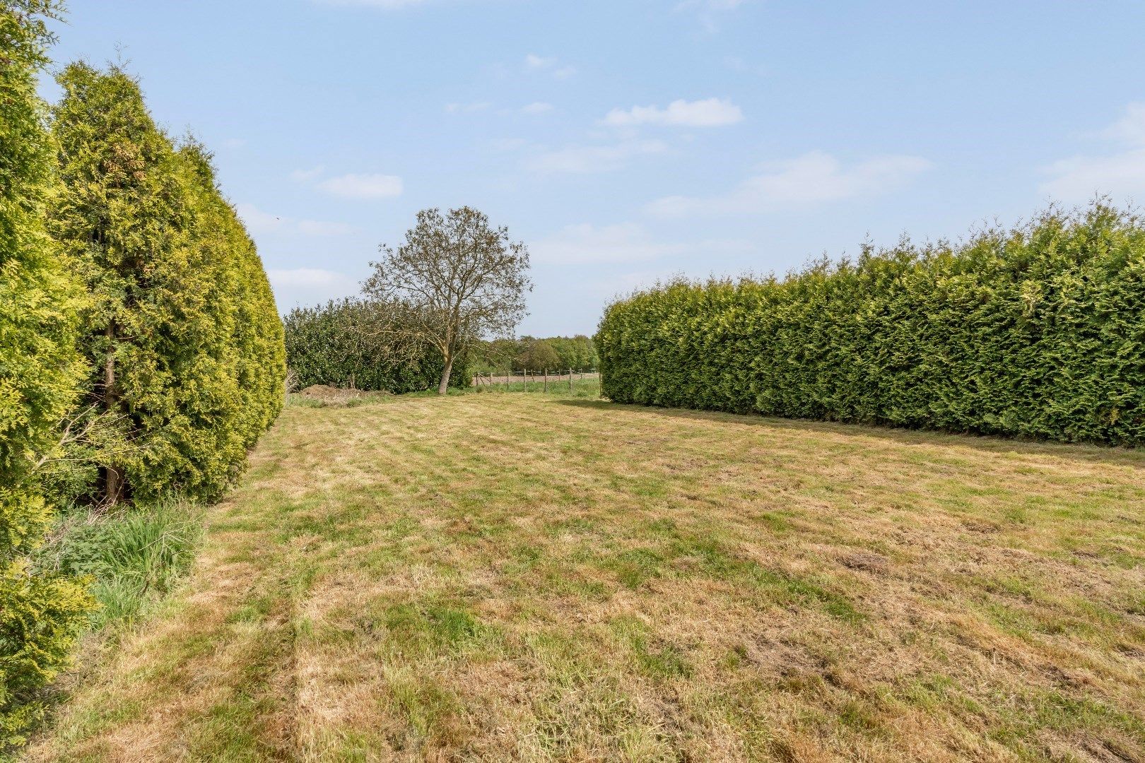 Ruime woning in Dorne(Maaseik) met 4 slaapkamers, gelegen op een uitzonderlijk ruim perceel. foto 24