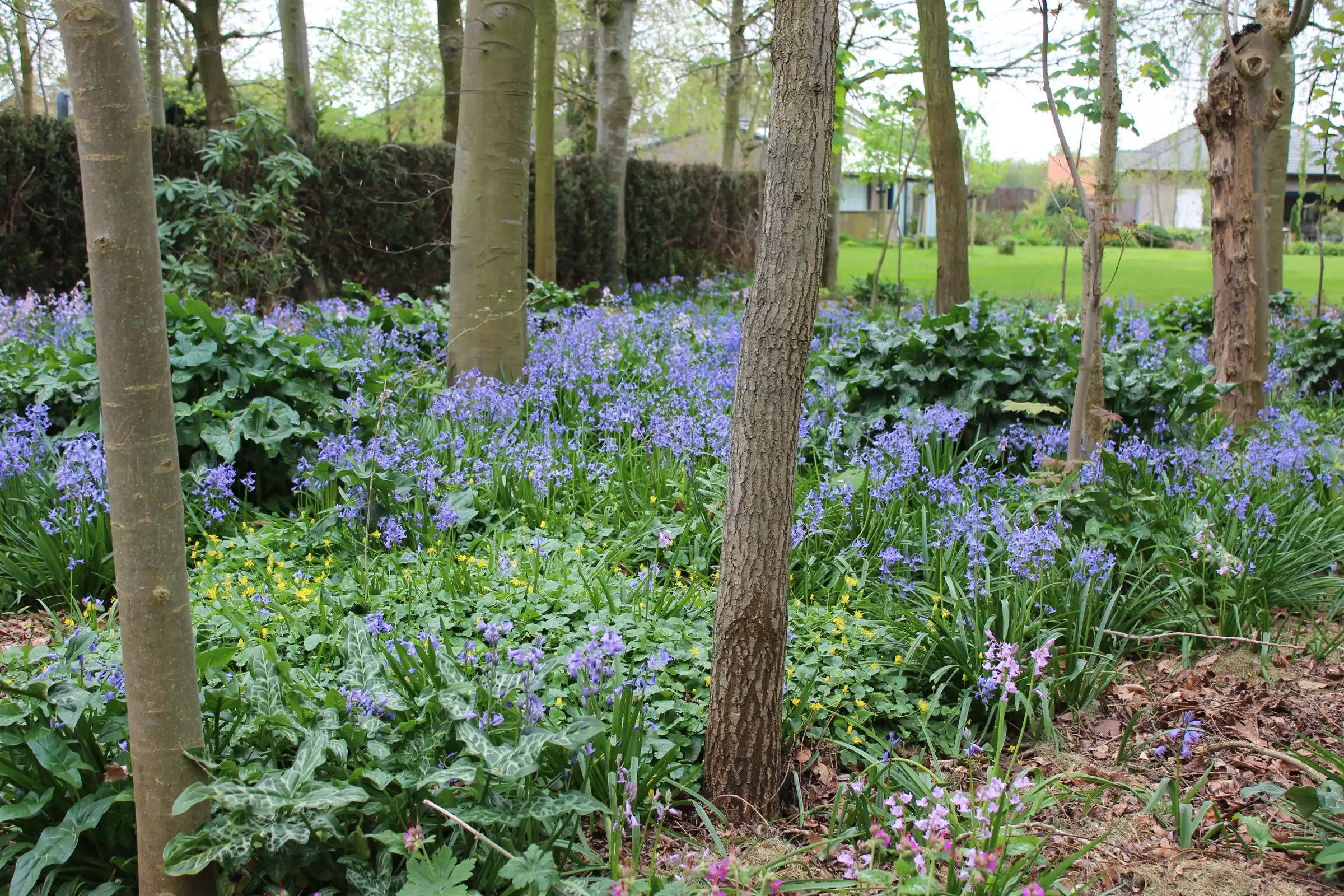 Exclusief wonen in een oase van rust ! foto 3