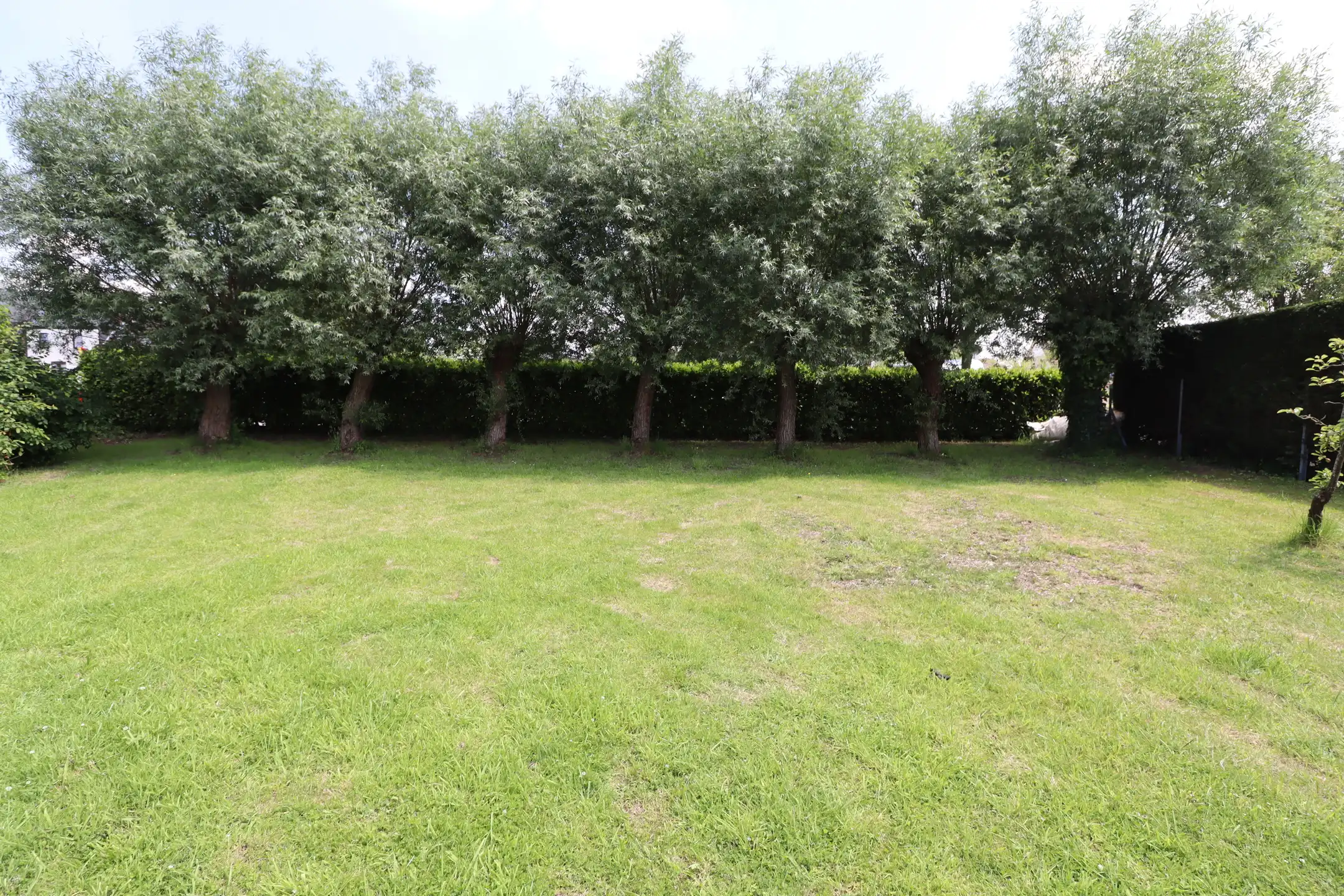 Grond te koop Marthe Massinstraat 14/a - 2890 Sint-Amands