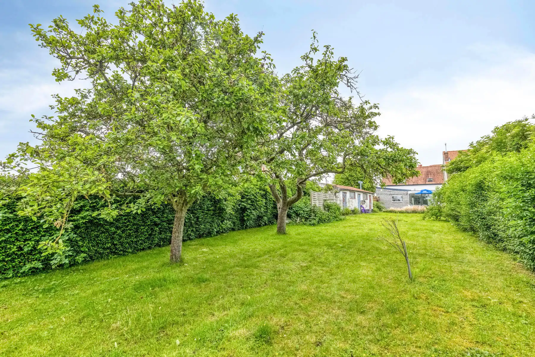 Charmant en rustig wonen met open zicht in Zuienkerke foto 17