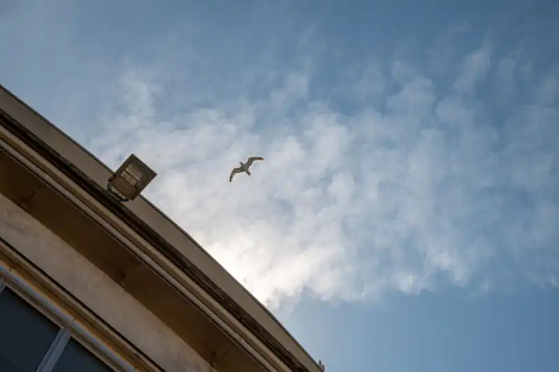 Smaakvol ingerichte studio in Res. Andromeda foto 19