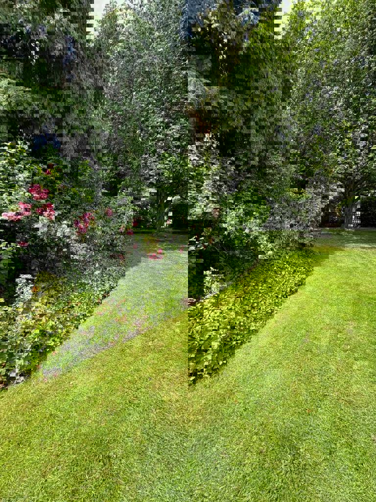 immo DAVID stelt voor: prachtig eigendom met 2 wooneenheden  foto 29
