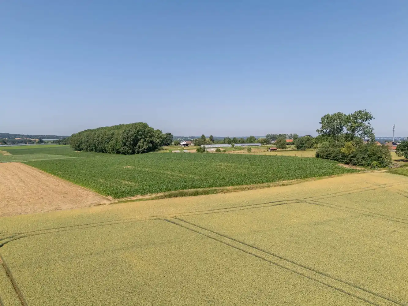 1,6ha verpachte (nog 7 jaar) landbouwgrond te koop foto 16