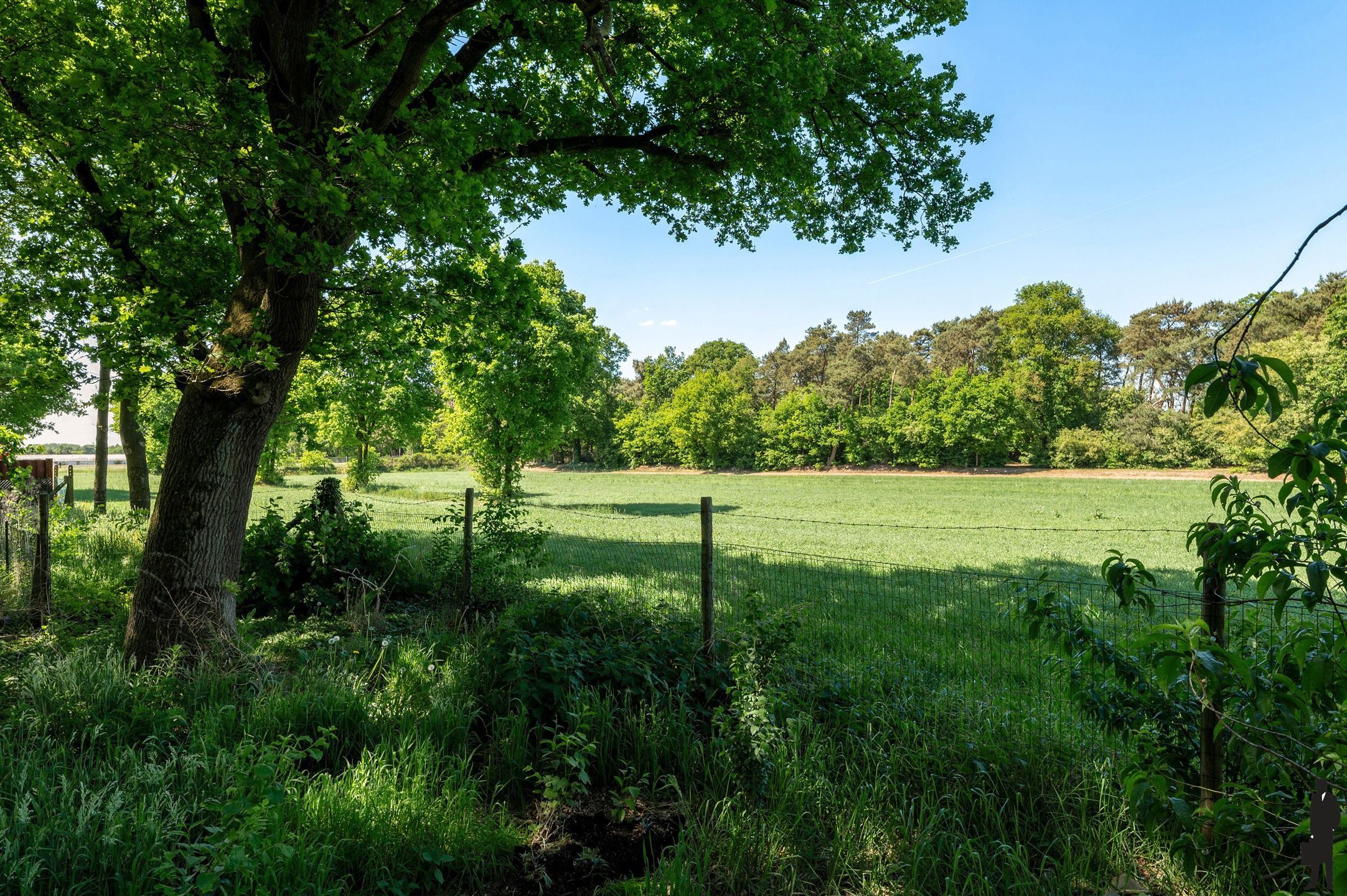 Uitzonderlijk gelegen villa nabij groen op grond van 2.785m² foto 4