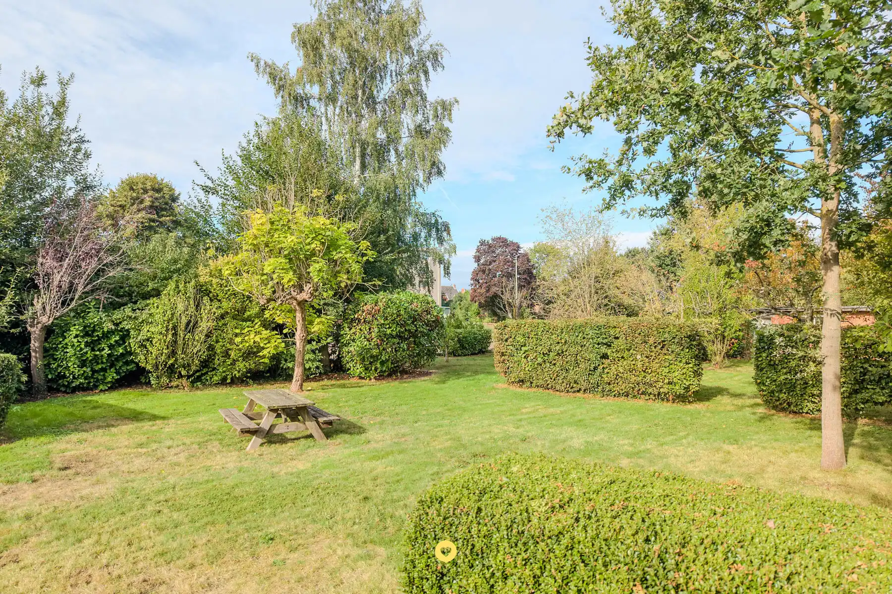 Gerenoveerde 70's villa met 5 slk en 2 bdk op 2000 m2 foto 6
