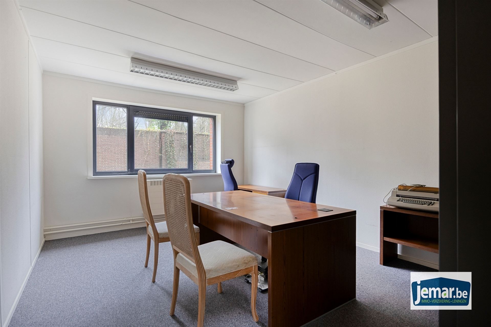 Villa met professionele opslagruimte, kelder en kantoorruimtes. foto 81