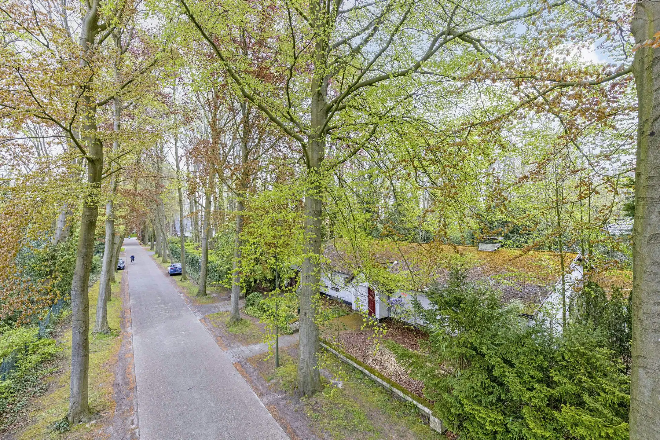 Hoofdfoto van de publicatie: Vrijstaand huis langs De Linde / Puienbroeklaan te Sint-Kruis (Brugge)