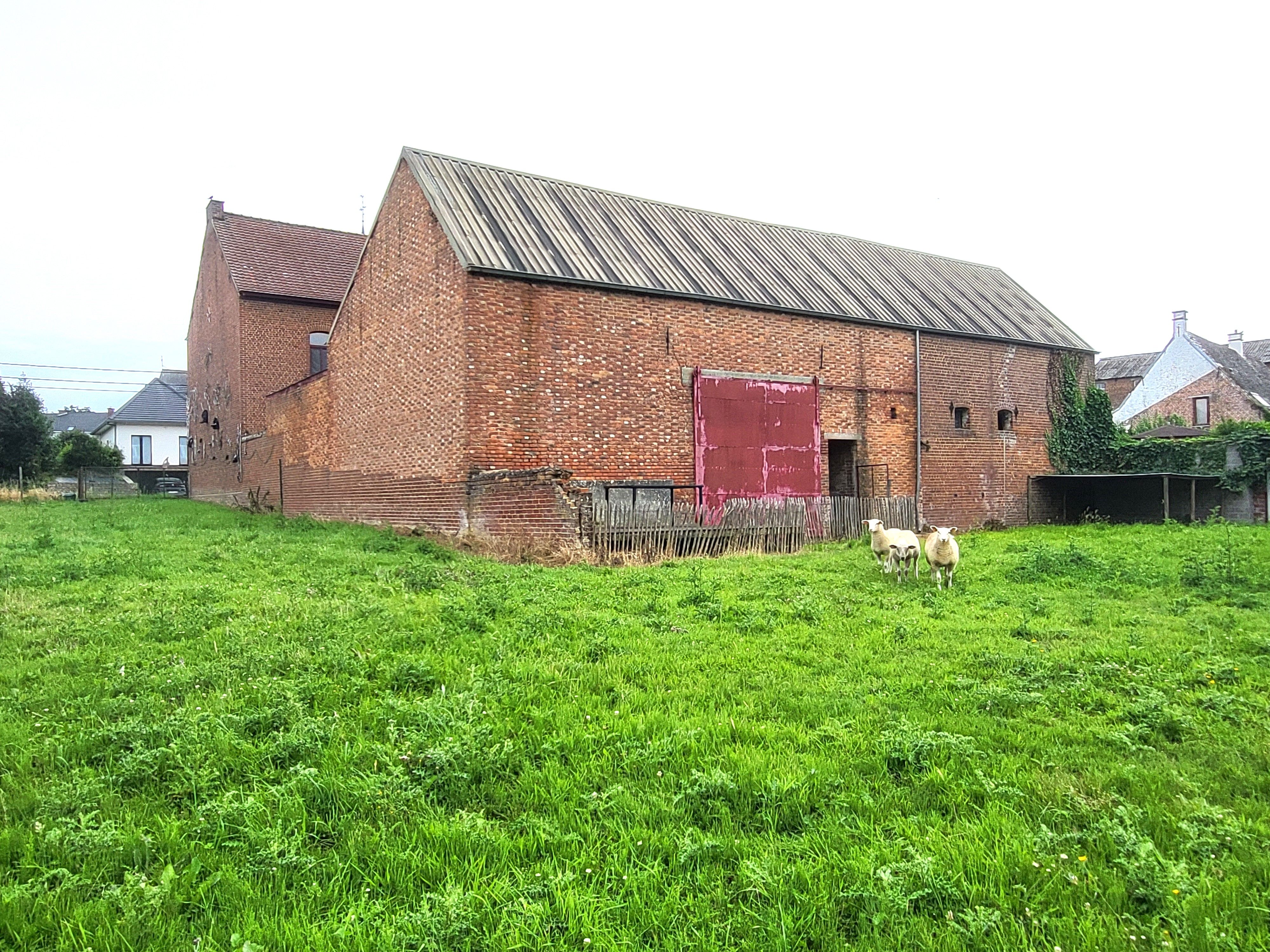Prachtig burgerwoning/ hoeve op 1246m² met stallingen en aanpalend bouwgrond.  foto 6