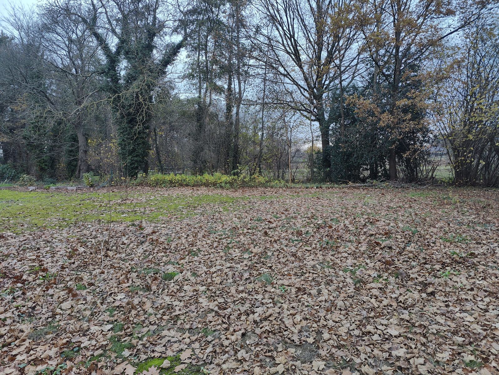 Zeer interessante bouwgrond op toplocatie foto 6