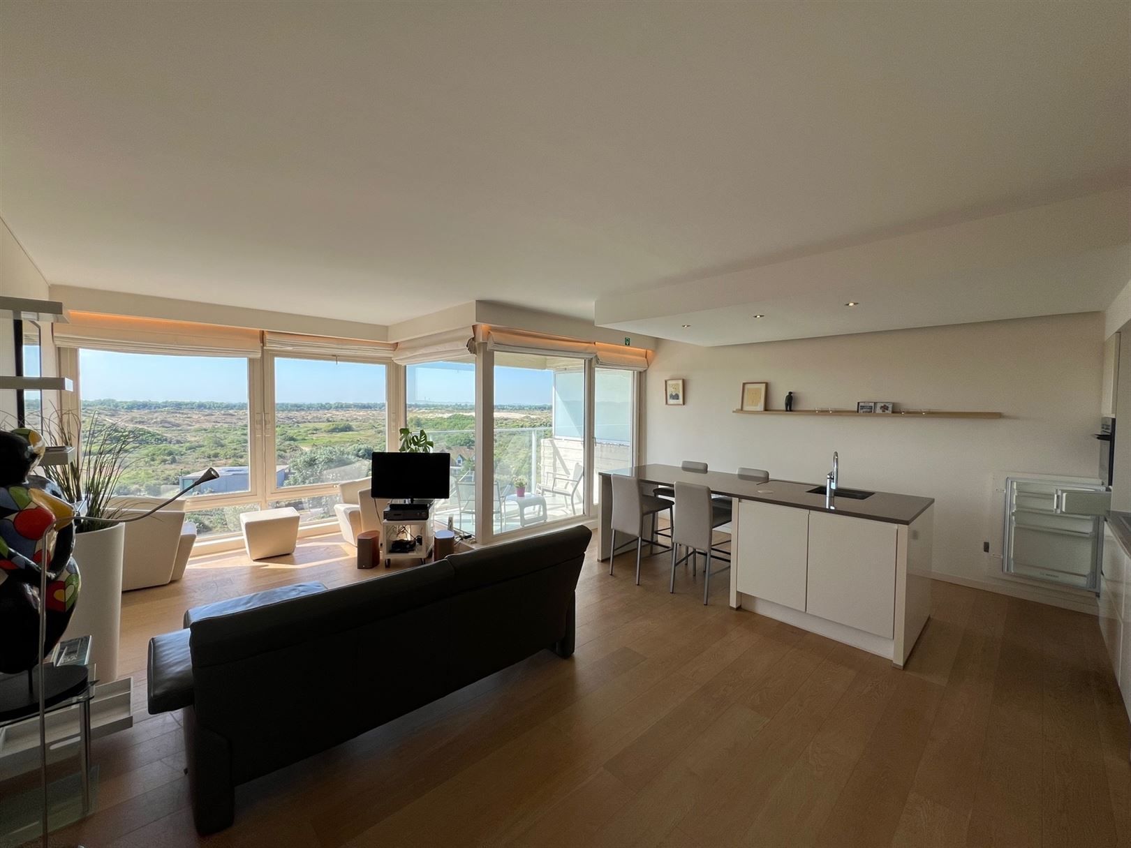 Supergrote gerenoveerde studio incl. parking met uniek uitzicht foto {{pictureIndex}}