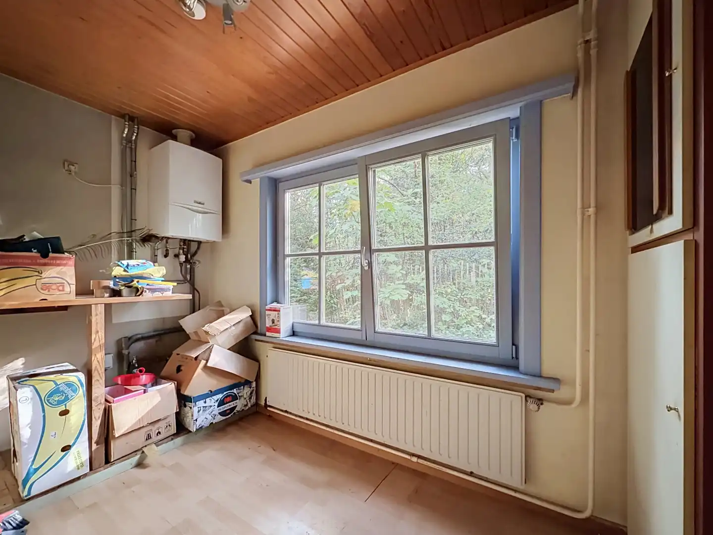 Rustig wonen midden in de bossen op een perceel van 2.005 m² in Schilde foto 8