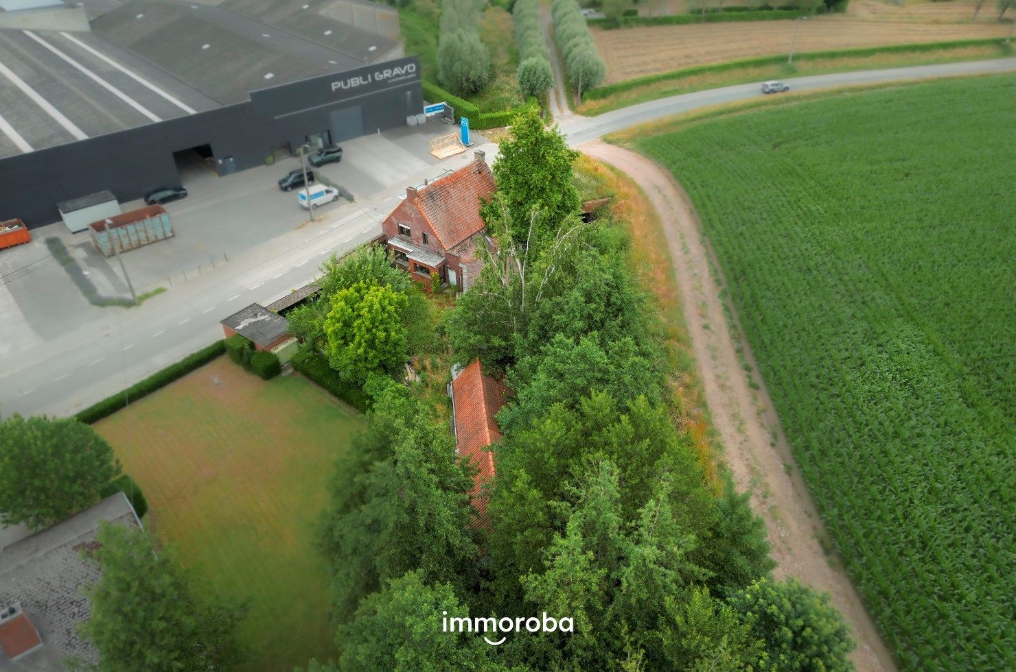 Te slopen en her op te bouwen woning TE KOOP tussen Sint-Eloois-Vijve en Desselgem, totale oppervlakte van de percelen 7639m²!! foto 3
