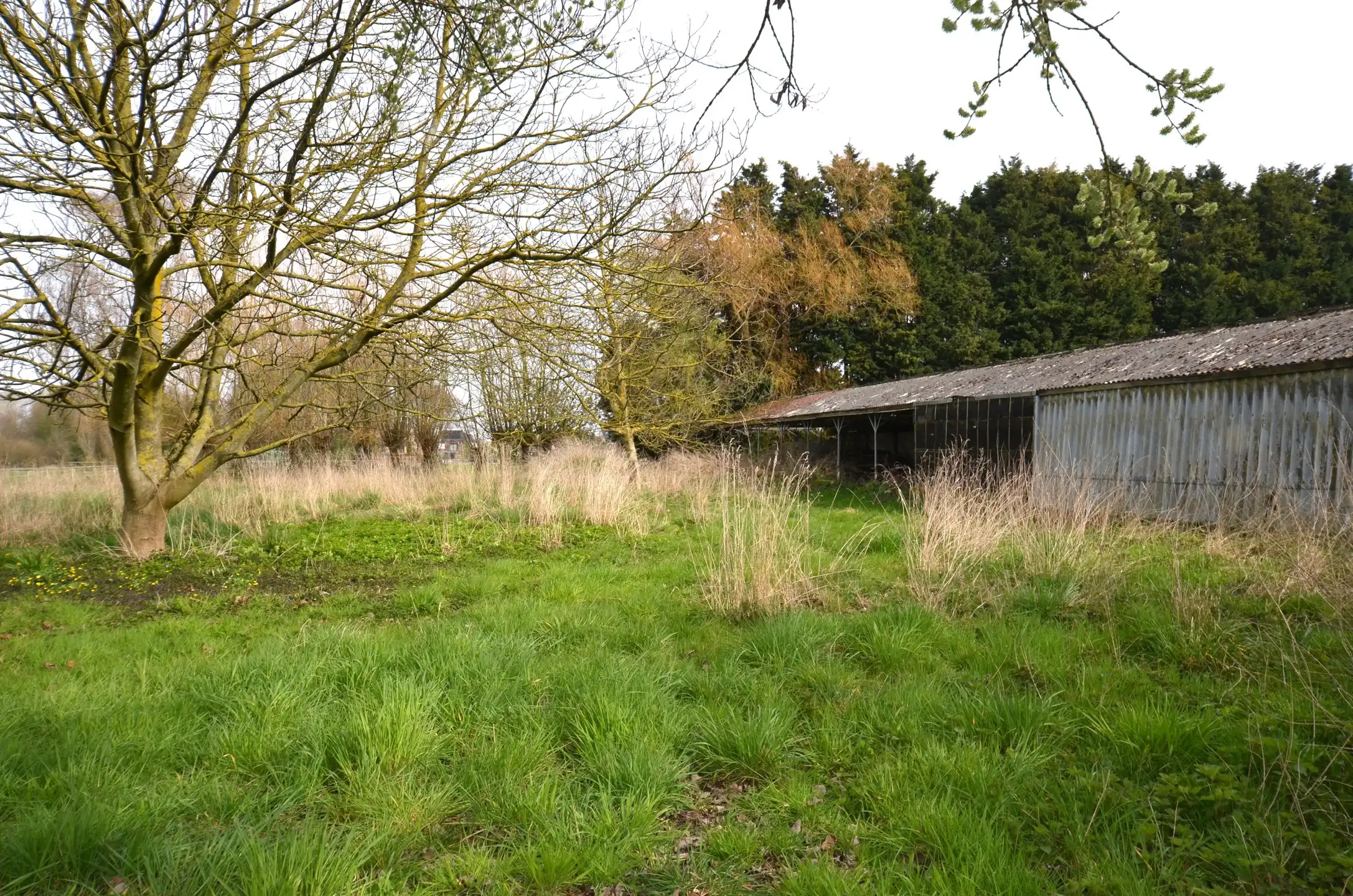 Magazijn met bijhorende weiland foto 9