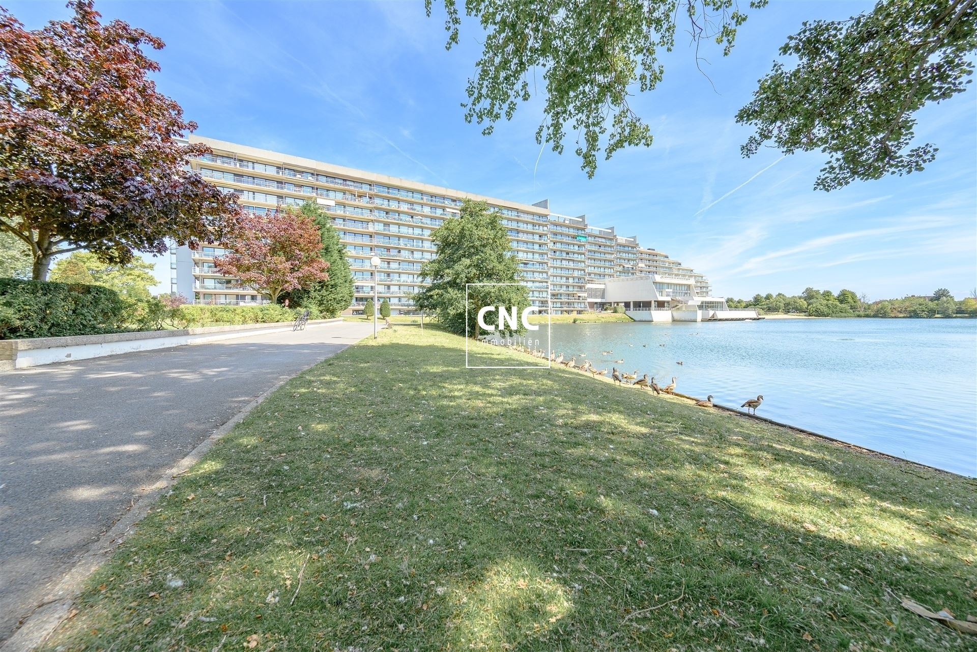 Studio met prachtig open zicht op het meer in Duinbergen foto 22