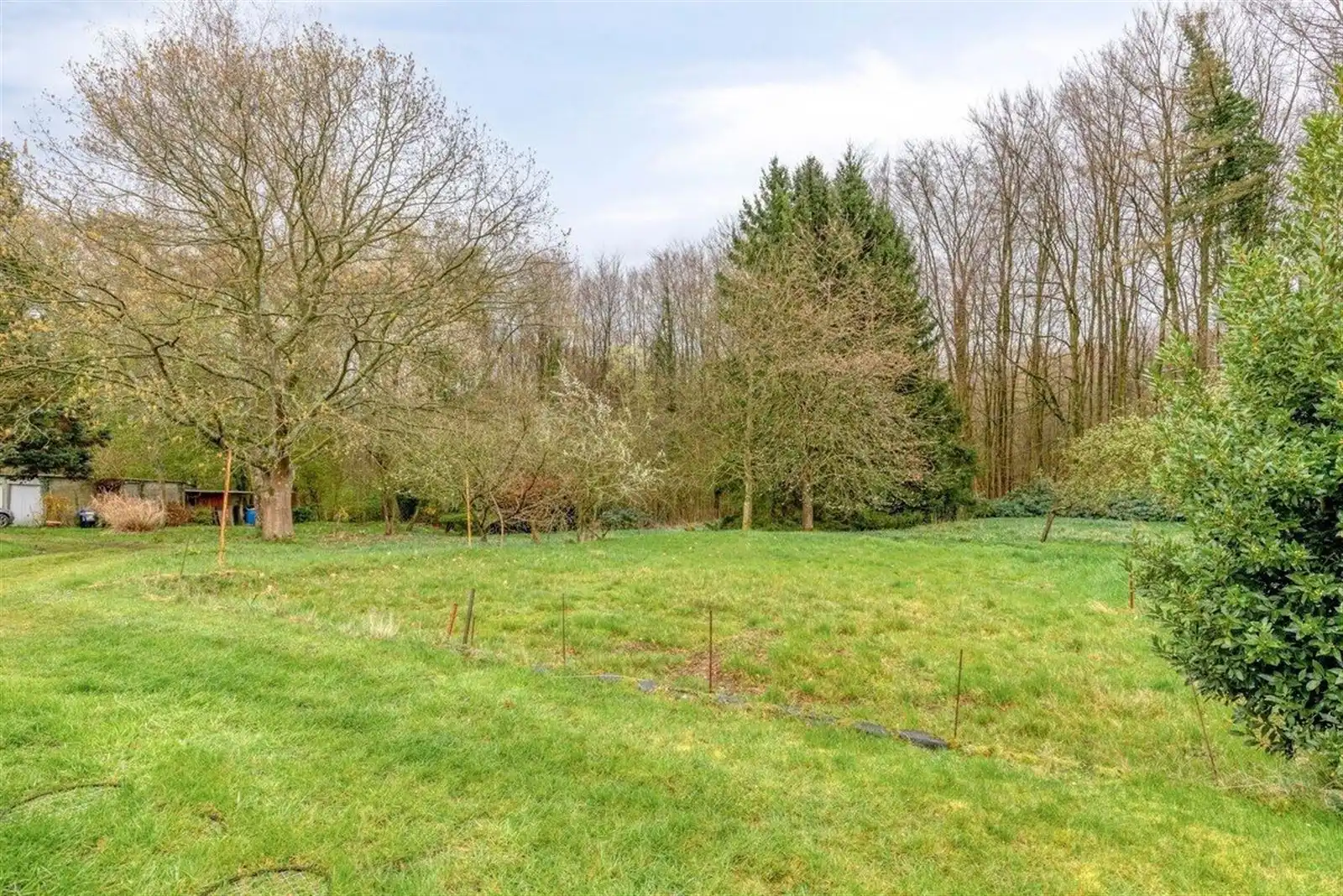 Uitzonderlijke eigendom - 4gevel (43a54ca) naast Hallerbos  foto 42