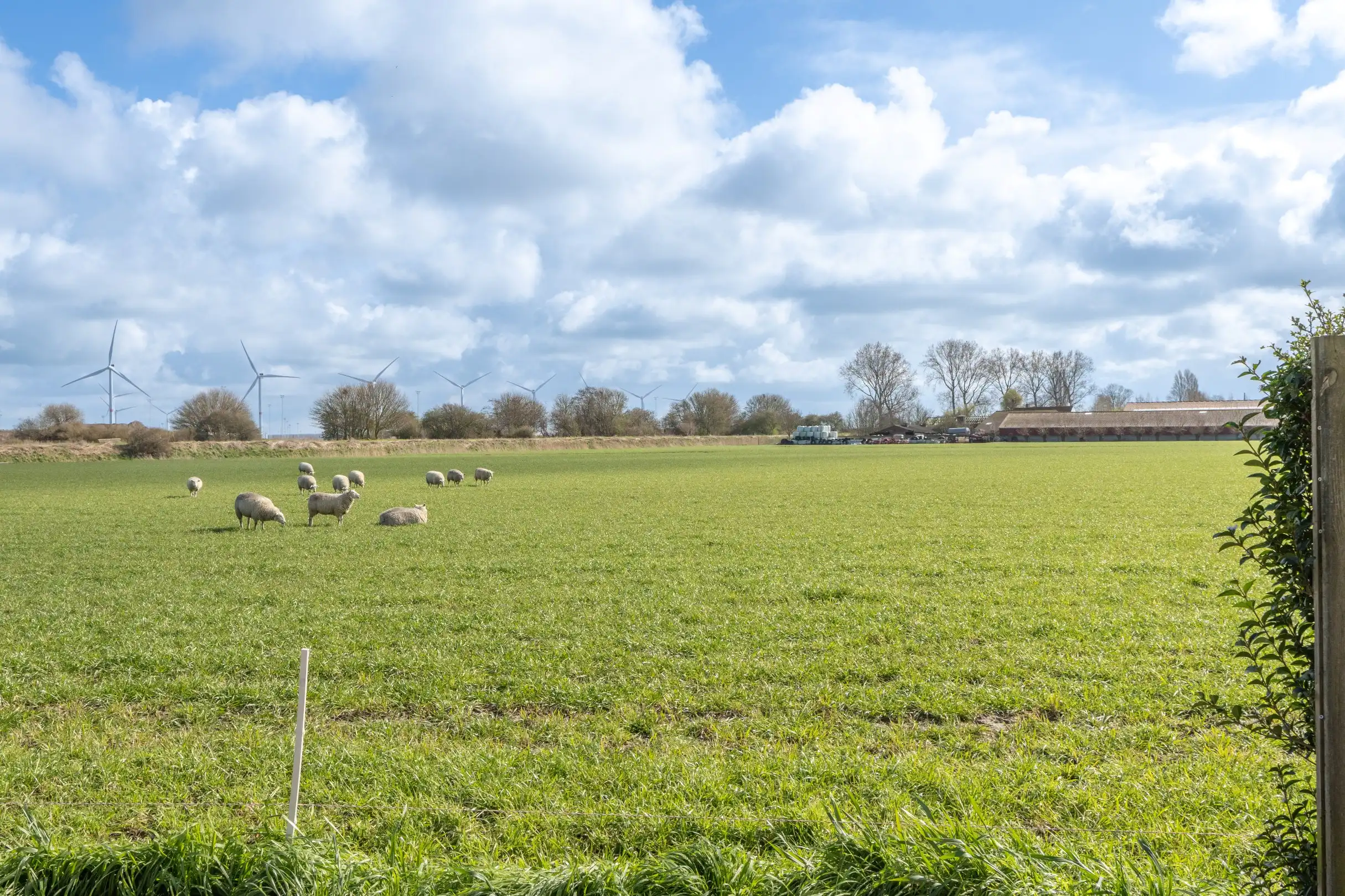 Alleenstaande bungalow met open zichten vlakbij Brugge foto 6