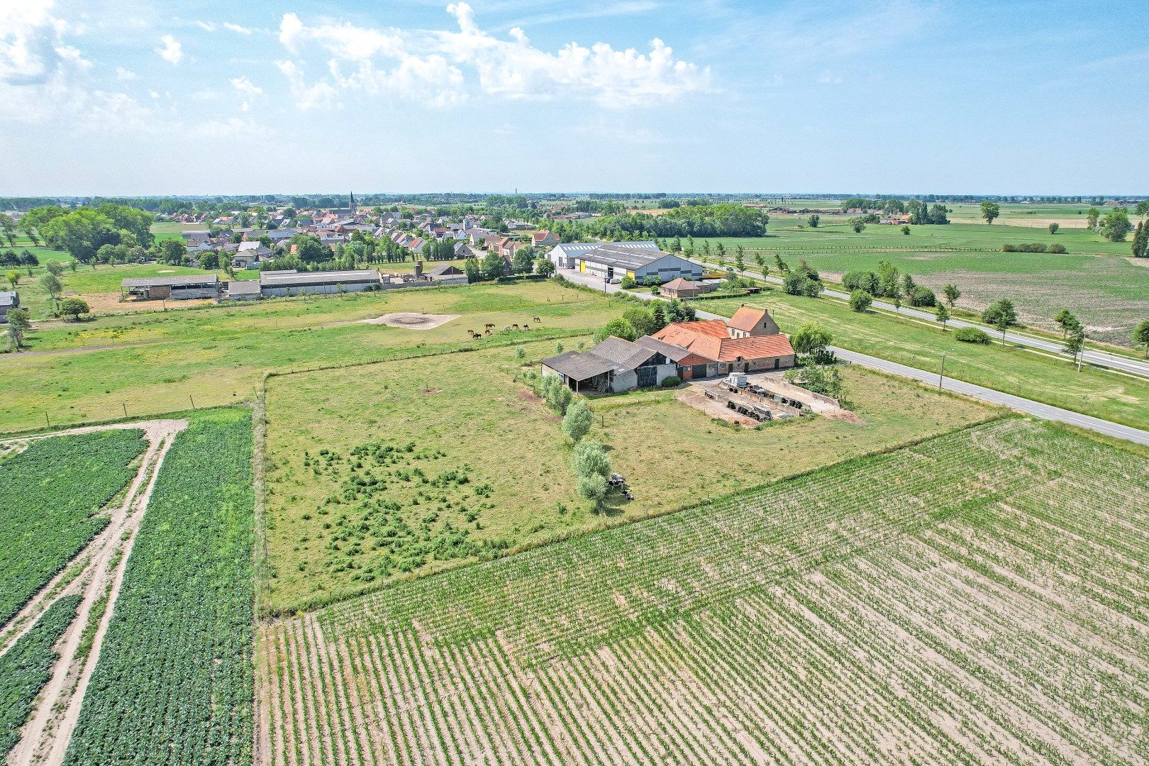 Centraal gelegen hoeve op 11.012m² te Diksmuide! foto 19