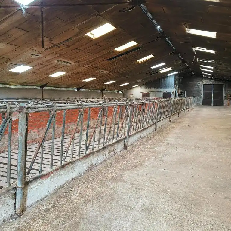 Stalgebouw te Loenhout foto 8