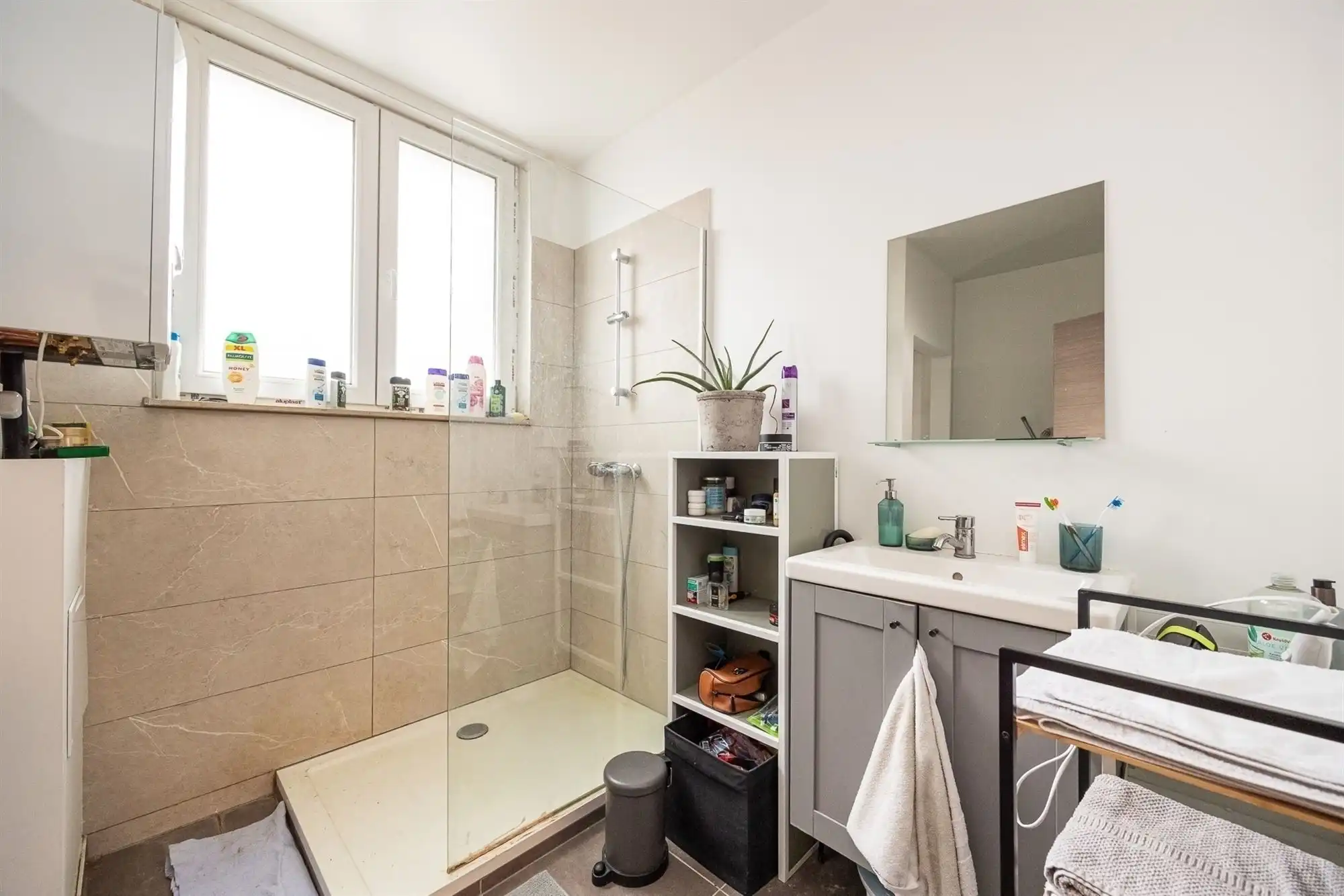 Appartement met 1 à 2 slaapkamers nabij Rivierenhof foto 12