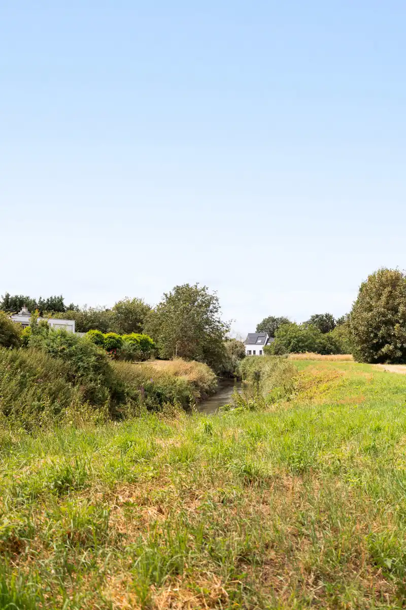Bosgrond in een oase van groen foto 7