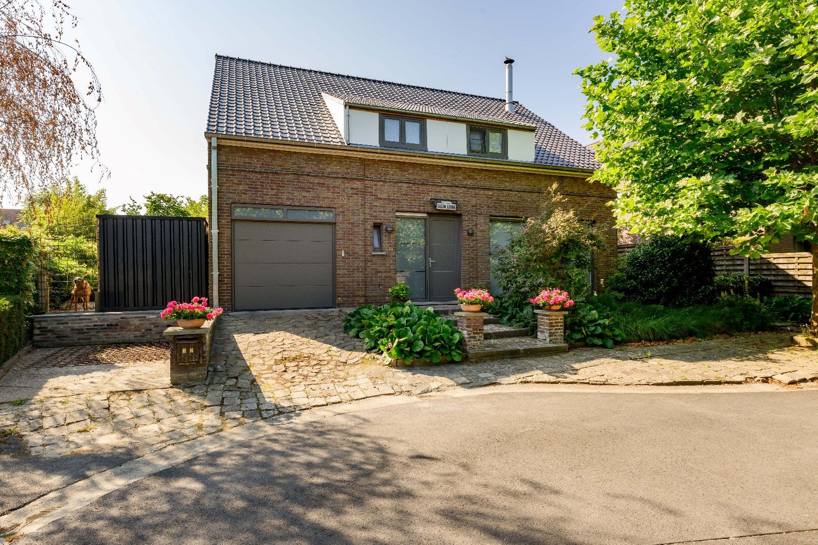 ()=>{if(producerUpdateValueVersion(node),producerAccessed(node),node.value===ERRORED)throw node.error;return node.value} Brignoleslaan 39 - - 8700 Tielt