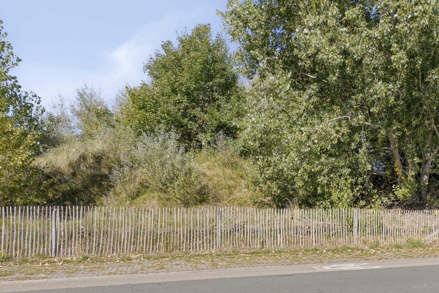 Gerenoveerde woning tegenover de Hoge Blekker duinen foto 22