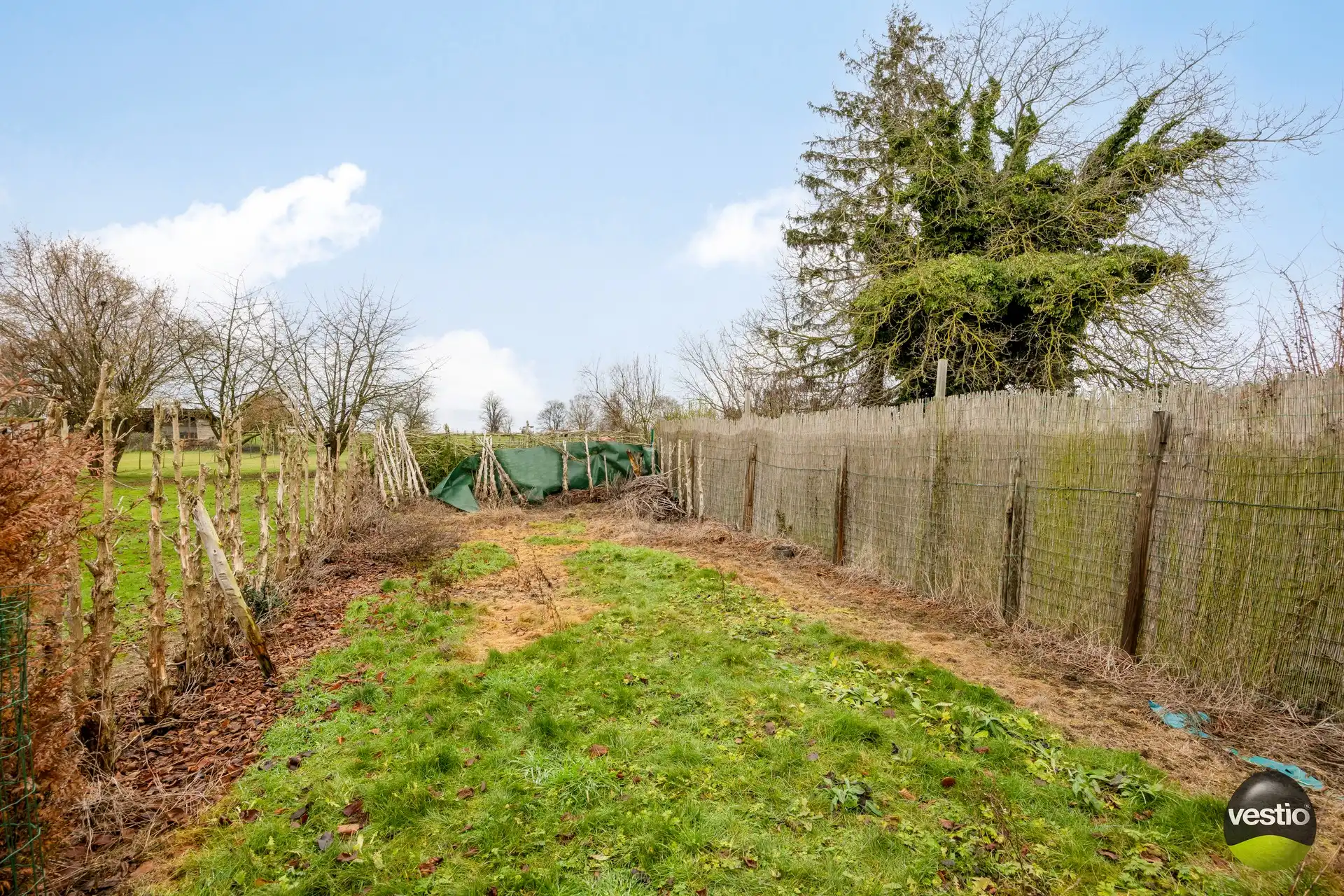 Te renoveren woning met bijgebouwen in het rustige centrum van Bevingen (Sint-Truiden) foto 6